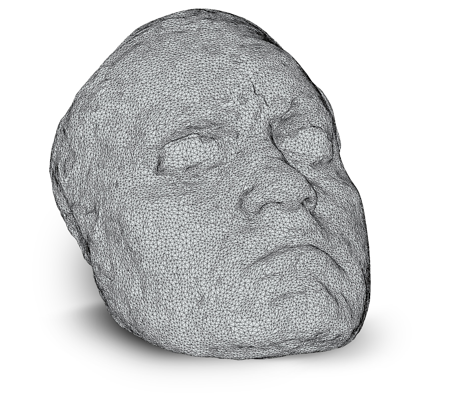 Startseite Digitus Art 3d Digitalisierung Visualisierung
